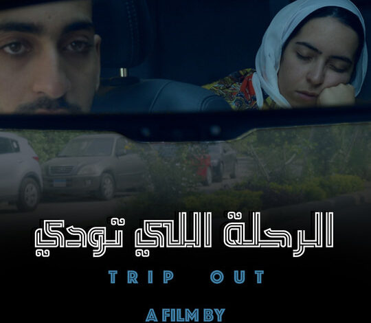 21 عملا فنيا تشارك فى مسابقة أفلام شباب مصر بمهرجان الإسكندرية السينمائى