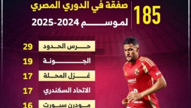 185 صفقة في الدوري المصري لموسم 2024-2025 .. إنفوجراف