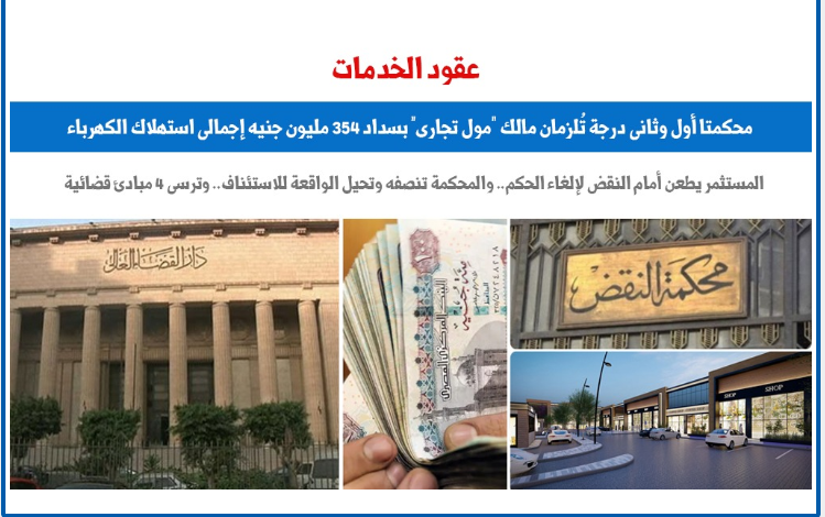 4 مبادئ قضائية بشأن دعاوى فواتير المياة والكهرباء والغاز والإنترنت.. برلمانى