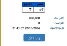 المزايدة على لوحة “م س- 3” المميزة تصل لـ630 ألف جنيه و3 أشخاص يتنافسون عليها