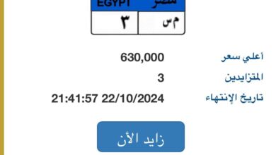 المزايدة على لوحة “م س- 3” المميزة تصل لـ630 ألف جنيه و3 أشخاص يتنافسون عليها