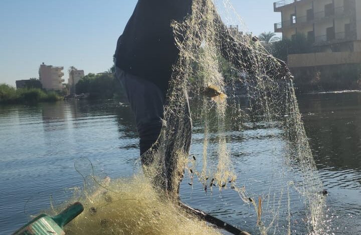 خير النيل كتير.. عم "سراج" صياد سمك منذ الطفولة.. يوفر بـ"الشبكة" رزق أسرته