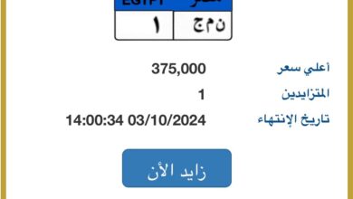 طرح لوحة "ن م ج- 1" المميزة بالمزاد وسعرها يصل 375 ألف جنيه