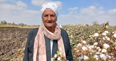 مدير المكافحة الحقلية بالشرقية: جنى 23 ألف فدان من القطن بالحقول حتى الآن