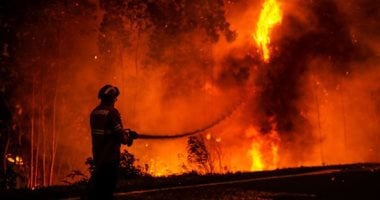 إجلاء آلاف الأشخاص فى كاليفورنيا بسبب الانتشار السريع لحرائق الغابات.. فيديو