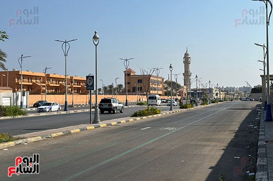 الخريف فى بورسعد.. أفواج من الفلامنجو والنورس تتناوليتناولون البطارخ.. صور