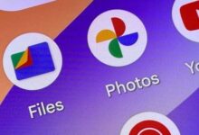 Google Files يضيف ميزة لإدارة ملفات PDF.. أعرف مميزاتها