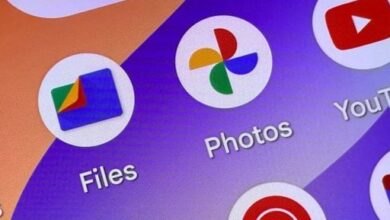 Google Files يضيف ميزة لإدارة ملفات PDF.. أعرف مميزاتها