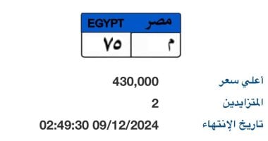 "م – 75" لوحة مميزة بمزاد اللوحات المعدنية بسعر يقترب من نصف مليون جنيه