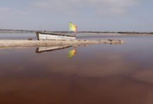 البحيرة الوردية.. تفاصيل الاختفاء المفزع لواحدة من أغرب بحيرات العالم.. صور