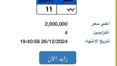 بـ2 مليون جنيه.. 4 أشخاص يتنافسون على لوحة سيارة "ب ب – 11" المميزة