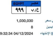 كيفية الحصول على لوحة مميزة لسيارة إلكترونيا.. كون لوحتك الآن