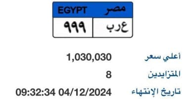 كيفية الحصول على لوحة مميزة لسيارة إلكترونيا.. كون لوحتك الآن