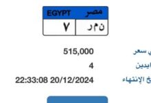 لوحة سيارة "ن م ر- 7" مميزة بالمزاد يصل سعرها 515 ألف جنيه