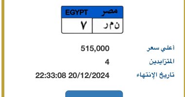 لوحة سيارة "ن م ر- 7" مميزة بالمزاد يصل سعرها 515 ألف جنيه