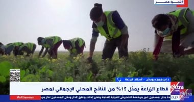 إبراهيم درويش: مصر وضعت قطاع الزراعة على رأس أولوياتها خلال السنوات العشر الأخيرة