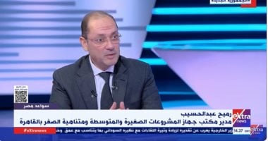 جهاز تنمية المشروعات: ضخ 6 مليارات و300 مليون جنيه فى 2024