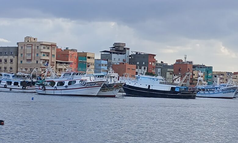 عزبة البرج بدمياط مركز استراتيجى لصيد الأسماك وتضم أكبر أسطول بحرى.. فيديو