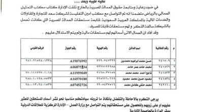 وزارة العمل تكشف عن مستحقات مالية لعمال مصريين لدى شركة سعودية